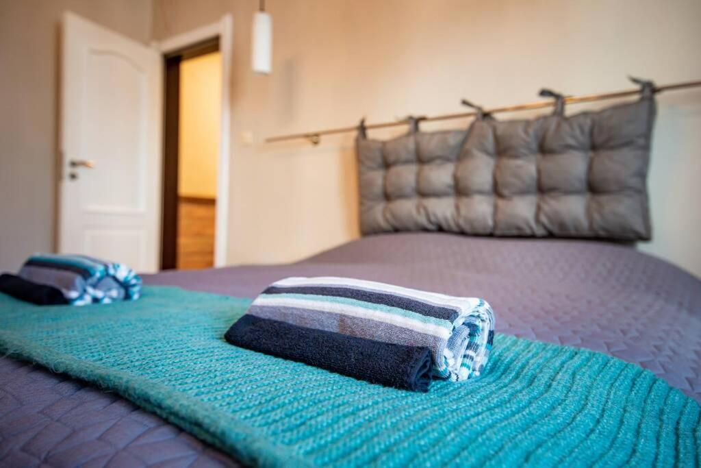 Huge Stylish Apartment Monroe 1 / City Centre プロヴディフ エクステリア 写真